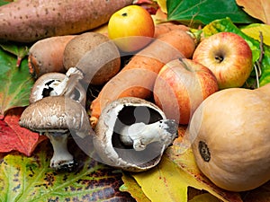 Mushrooms, apples, sweet patato, butternut squash and carrots ar