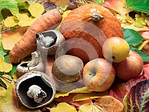 Mushrooms, apples, sweet patato, red kuri squash and carrots are