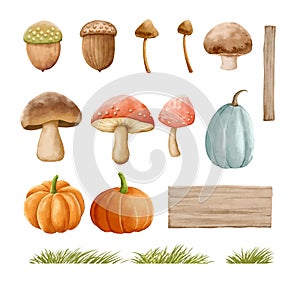 Mushrooms autumn set with grass in watercolor painting style. Mushrooms isolated on a white background