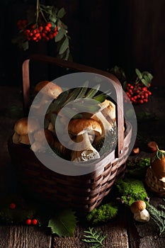 Mushrooms in the basket