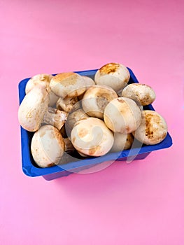 mushrooms in a basket on pink background