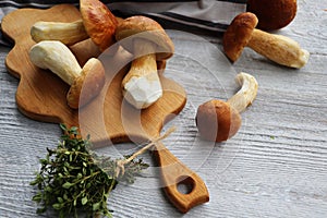 Mushrooms boletus over white wooden Background. Autumn cep mushrooms. Mushrooms picking and cooking