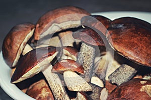 Mushrooms in a bowl close up. Birch mushroom or rough boletus