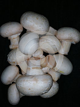 Mushrooms(button mushrooms)