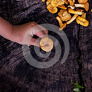 Mushrooms chanterelle in the basket