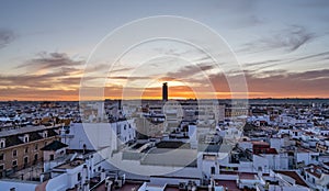 Mushrooms from the city of Seville or Metropol Parasol