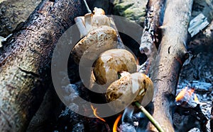 Mushrooms cooked in nature. Mushrooms on the fire