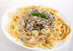 Mushrooms in cream on fettuccini