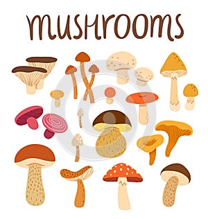 Mushrooms
