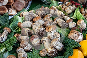 Mushrooms on display at a street market in Paris, France