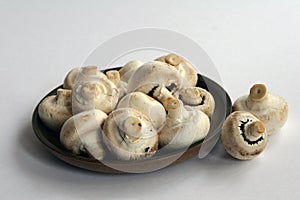 Mushrooms on earthenware plate photo