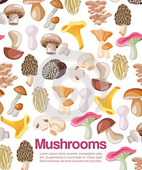 Mushrooms edible organic vegeterian mushrooming poster vector illustration.