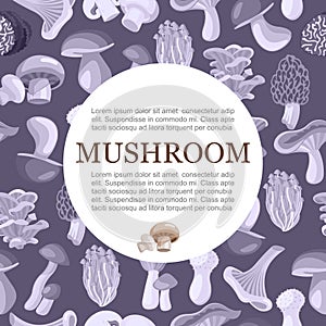 Mushrooms edible vegeterian mushrooming poster monochrome vector illustration with typography in circle. photo