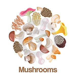 Mushrooms edible vegeterian mushrooming poster vector illustration circle composition.