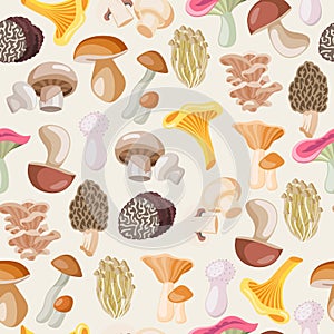 Mushrooms edible vegeterian organic mushrooming seamless pattern, vector illustration.