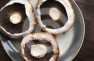 Mushrooms in fine details showing gills