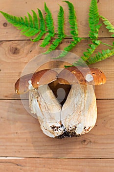 Mushrooms in forest. Card on autumn or summertime. Forest harvest. Boletus, aspen, chanterelles, leaves, buds, berries, Top view