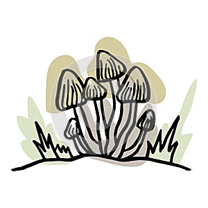 Mushrooms in the forest. Hand drawn. Isolated on whine.