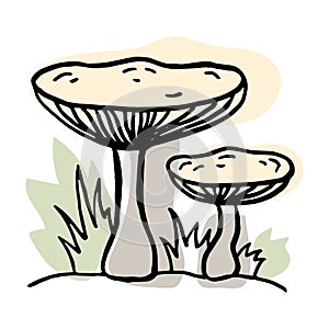 Mushrooms in the forest. Hand drawn. Isolated on whine.