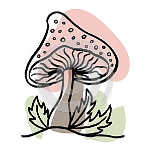 Mushrooms in the forest. Hand drawn. Isolated on whine.