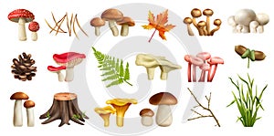 Mushrooms Forest Realistic Set