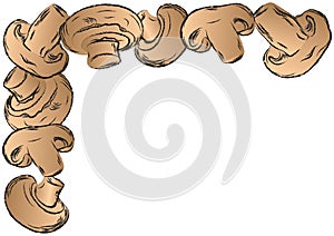 Mushrooms frame vector illustration background