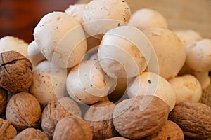 Mushrooms fresh agricolture nuts