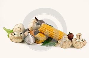 Mushrooms and fresh vegetables.isolated on a white background