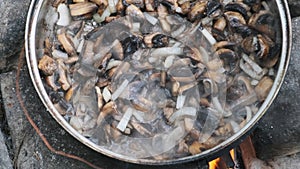 Mushrooms are Fried in a Pan over Fire in Field Conditions on Hand Made Kitchen