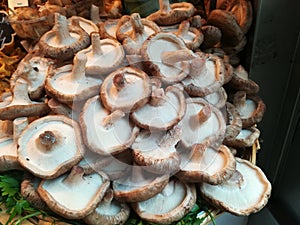 Mushrooms in a grocery shop