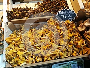 Mushrooms in a grocery shop