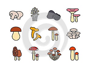 Mushrooms icon set. Vector linear color icons contour shape outline. Modern glyph design. Champignon enoki truffle