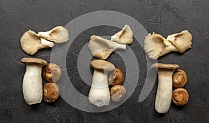 Mushrooms knolling concept