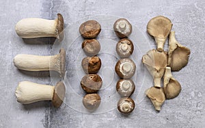 Mushrooms knolling concept