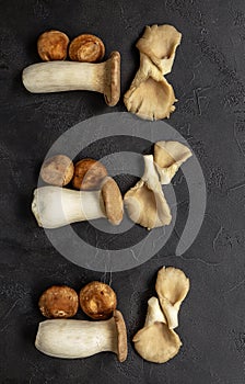 Mushrooms knolling concept