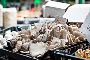 Mushrooms on the marketplace