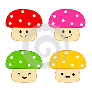 Mushrooms / mushroom