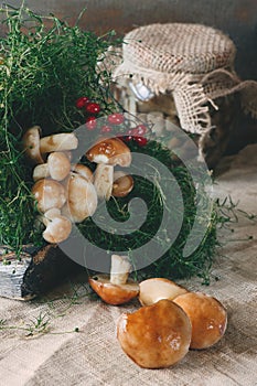 Mushrooms pickled in a jar on a rustic background, autumn, canned food cooking jars with pickled mushrooms on wooden background.