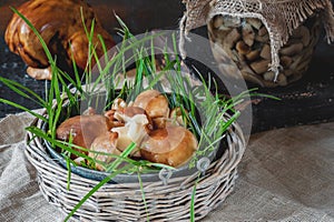 Mushrooms pickled in a jar on a rustic background, autumn, canned food cooking jars with pickled mushrooms on wooden background. T