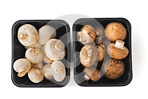 Mushrooms in Plastic Containers Isolated on White Background,  Close Up Directly From Above