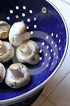 Mushrooms on a Plate