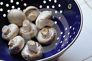 Mushrooms on a Plate