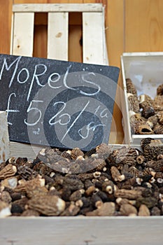 Mushrooms for sale at the market