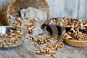Mushrooms scattered on the table