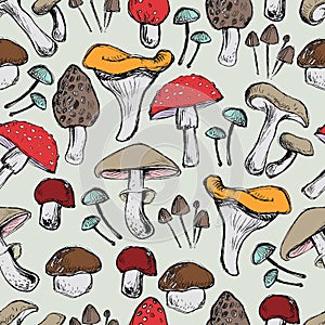Mushrooms Seamless pattern photo