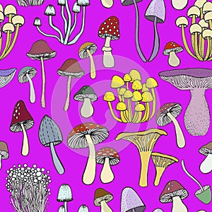 Mushrooms seamless pattern on magenta background.