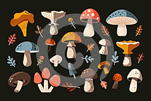 Mushrooms set. Cartoon edible wild fungi, different types of mushrooms with caps and stalks, autumn forest plants