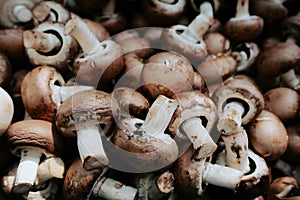 Mushrooms sold at open market