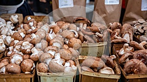 Mushrooms variety at an open air farmers market stall