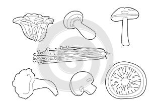 Mushrooms Various Cartoon Vector Coloring Book